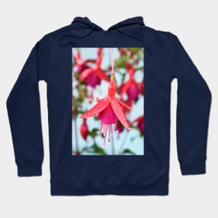 Fuchsia &#39;Pink Fizz&#39; Hoodie